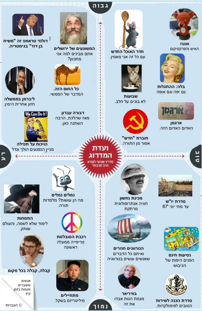 ועדת המדרוג